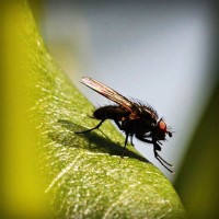 /album/furusatokyoyu/photolia-a04-jpg/