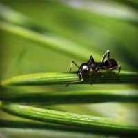 /album/furusatokyoyu/photolia-a05-jpg/